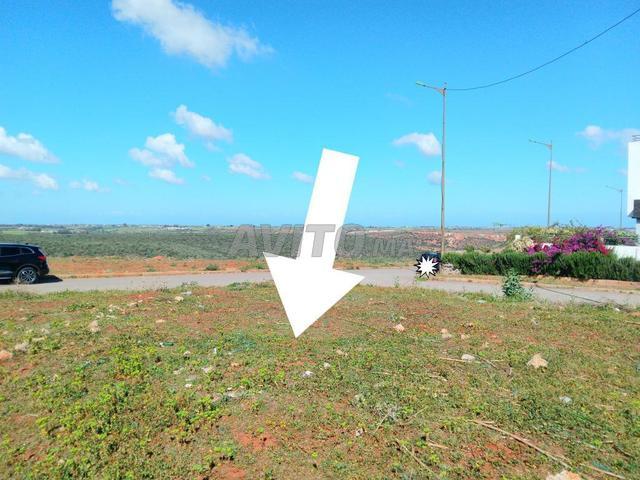 Propriété vente à Tamesna