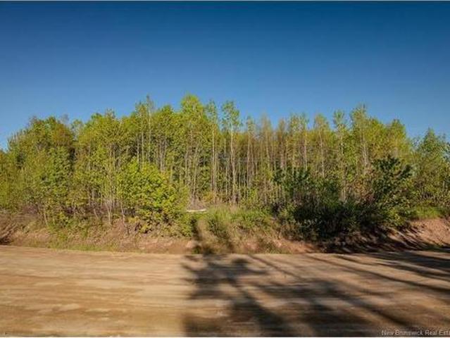Land for sale in Canaan Station, New Brunswick