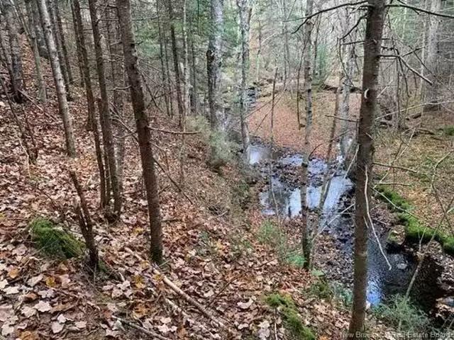 House for sale in Kingston, New Brunswick