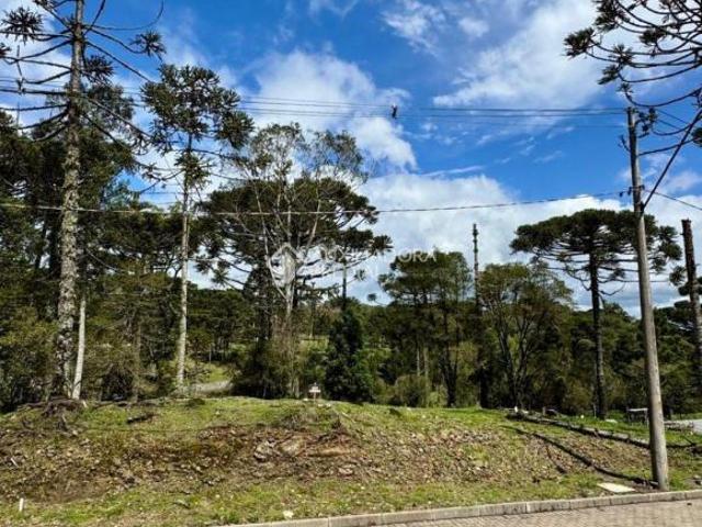 Terreno venda em Região Geográfica Imediata de Caxias do Sul, São Francisco de Paula