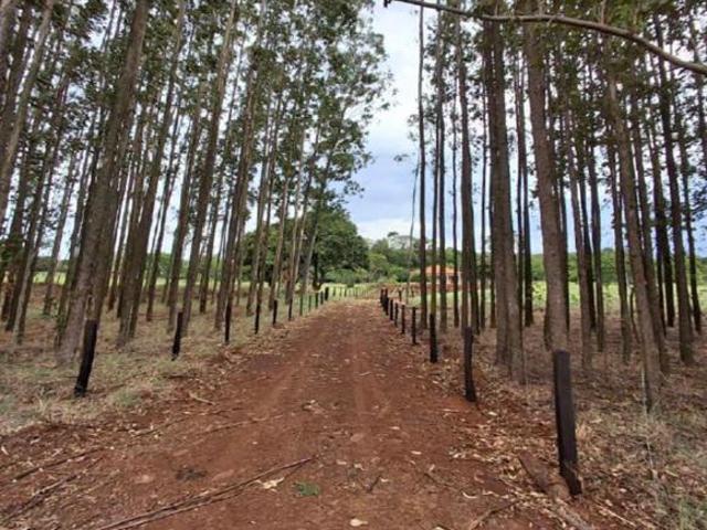 Sítio e chácara venda em Região Geográfica Imediata de Marechal Cândido Rondon, Mercedes
