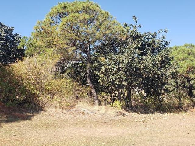 Terreno en venta en Taxco De Alarcón, Guerrero
