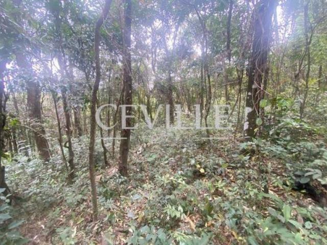 Terreno venda em Região Geográfica Imediata de Belo Horizonte, Região Metropolitana de Belo Horizonte