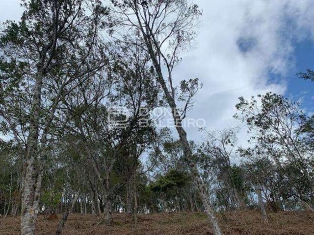 Terreno venda em Região Imediata de Taubaté-Pindamonhangaba, Região Metropolitana do Vale do Paraíba e Litoral Norte