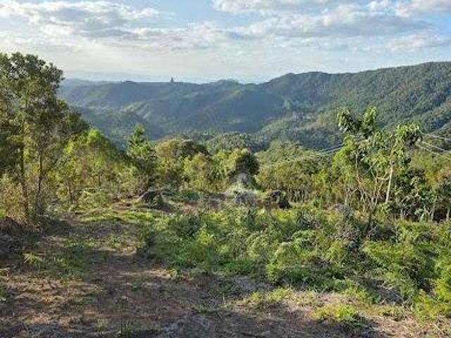Terreno venda em Região Imediata de Guaratinguetá, Região Metropolitana do Vale do Paraíba e Litoral Norte