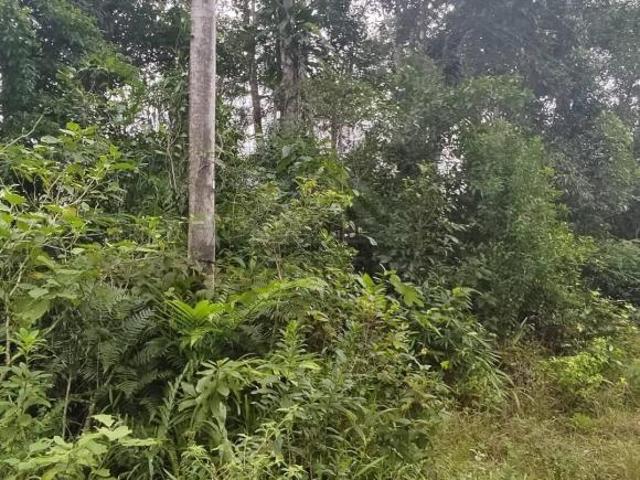 Terreno venda em Região Imediata de Santos, Região Metropolitana da Baixada Santista