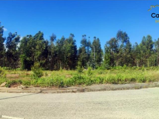 Terreno venda em Castelo Branco, Cumeada