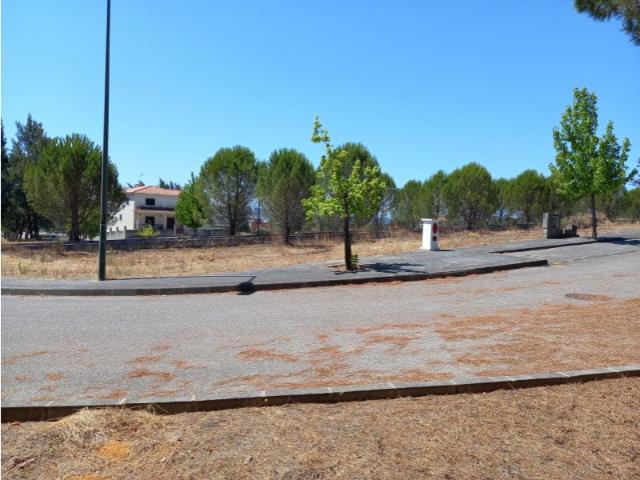 Terreno venda em Constância, Santarém