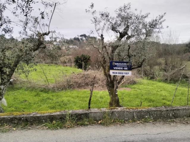 Terreno venda em Sarzedelo, Viseu