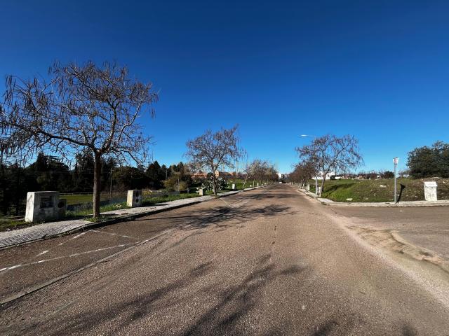 Terreno venda em Bairro da Raposeira, Elvas