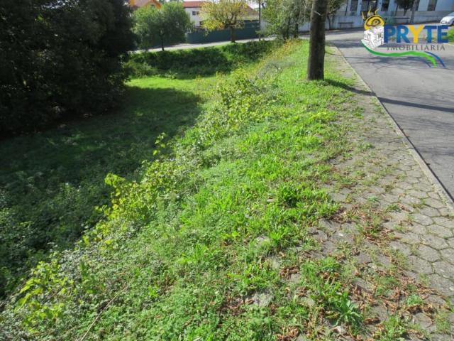 Terreno venda em Castelo Branco, Cumeada