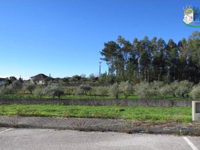 Terreno venda em Castelo Branco, Cumeada