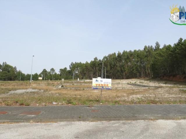 Terreno venda em Castelo Branco, Cumeada
