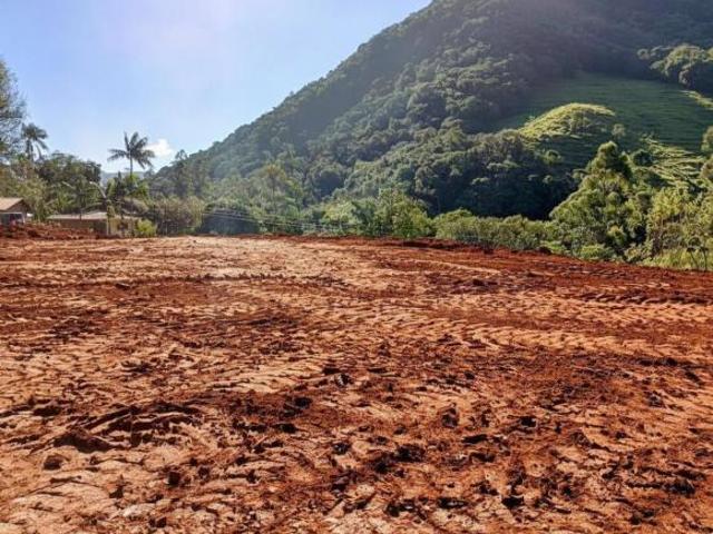 Terreno venda em Regional Centro-Sul, Belo Horizonte