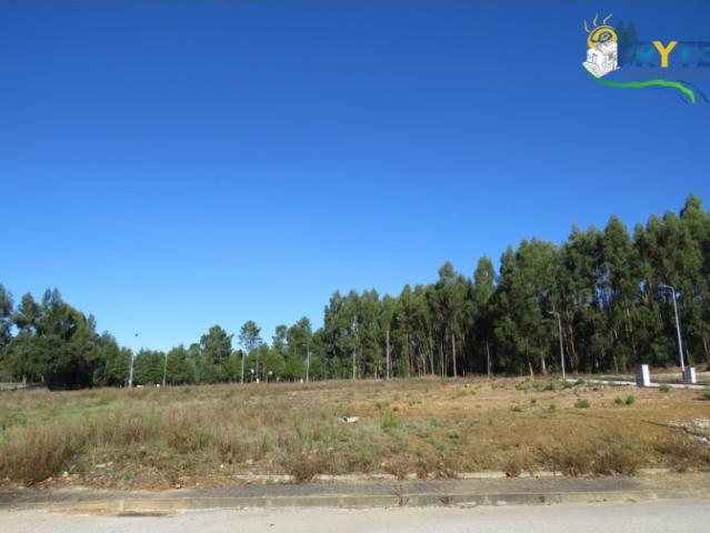 Terreno venda em Castelo Branco, Cumeada