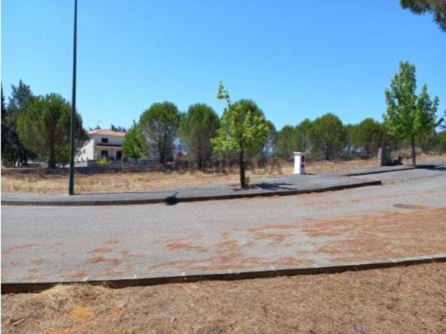 Terreno venda em Constância, Santarém