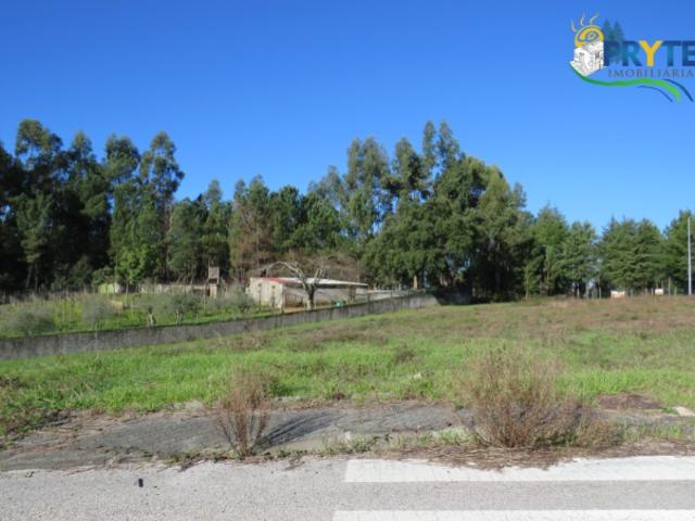 Terreno venda em Castelo Branco, Cumeada