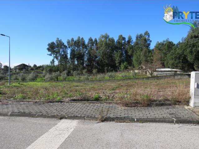 Terreno venda em Castelo Branco, Cumeada