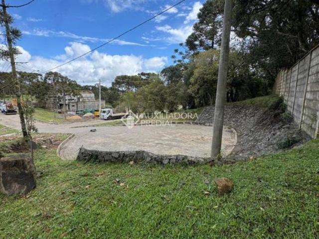 Terreno venda em Região Geográfica Imediata de Caxias do Sul, São Francisco de Paula