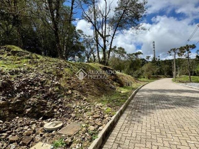 Terreno venda em Região Geográfica Imediata de Caxias do Sul, São Francisco de Paula