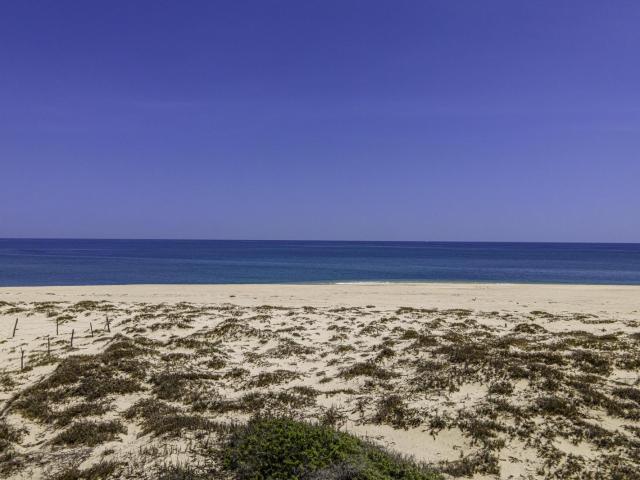 Terreno en renta en Los Cabos, Baja California Sur