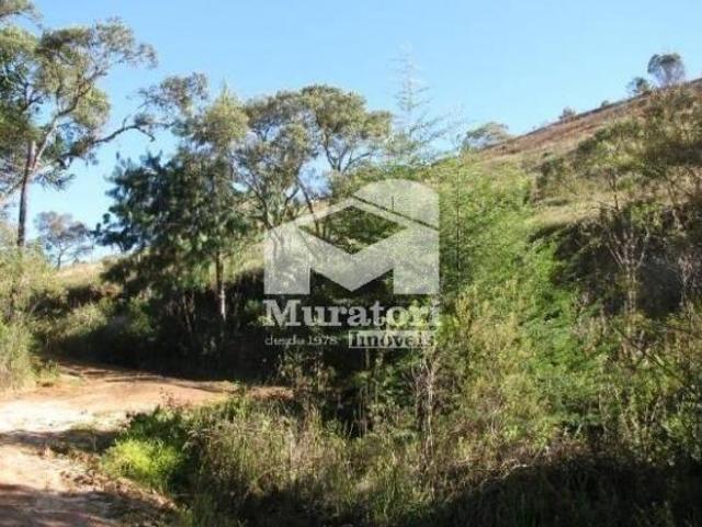 Terreno venda em Campos do Jordão
