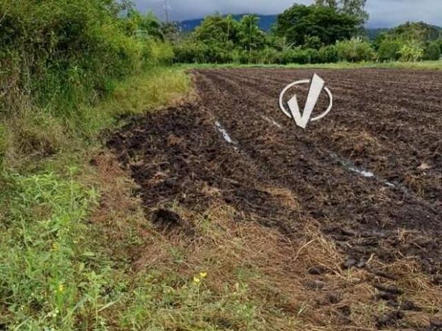 Terreno venda em Região Imediata de Taubaté-Pindamonhangaba, Região Metropolitana do Vale do Paraíba e Litoral Norte