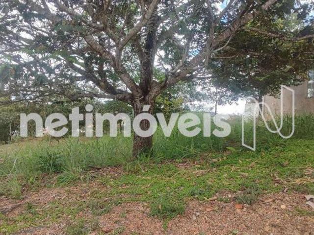Terreno venda em Região Geográfica Imediata do Distrito Federal, Região Integrada de Desenvolvimento do Distrito Federal e Entorno