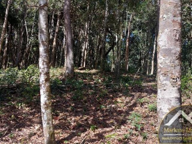 Casa venda em Região Imediata de Taubaté-Pindamonhangaba, Região Metropolitana do Vale do Paraíba e Litoral Norte