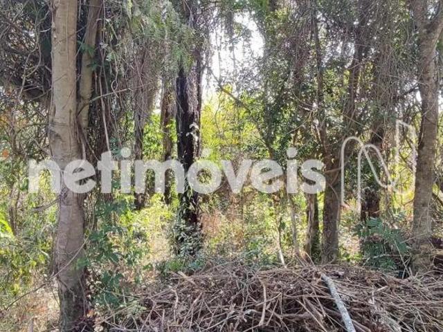 Terreno venda em Região Geográfica Imediata de Belo Horizonte, Região Metropolitana de Belo Horizonte