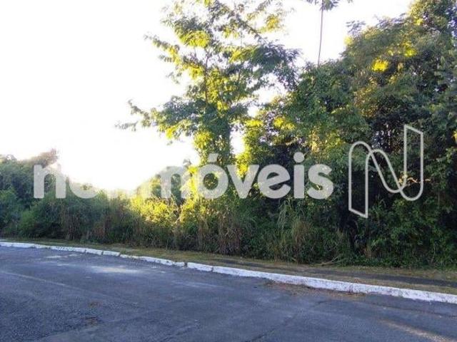 Terreno venda em Região Geográfica Imediata do Distrito Federal, Região Integrada de Desenvolvimento do Distrito Federal e Entorno