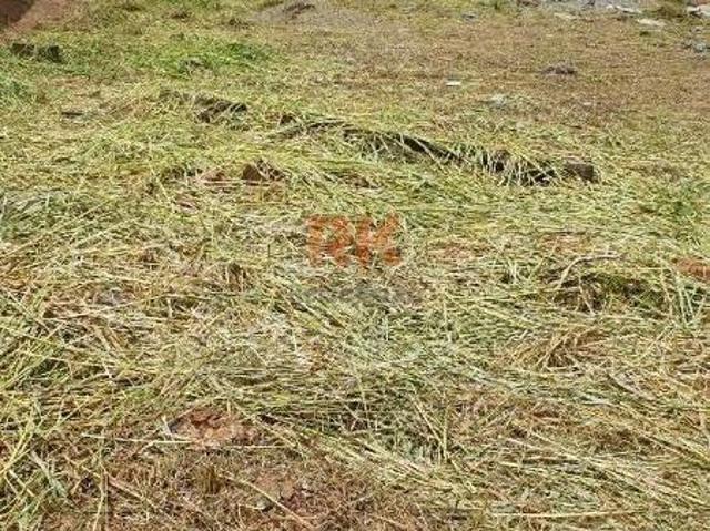 Terreno venda em Região Geográfica Imediata de Belo Horizonte, Região Metropolitana de Belo Horizonte