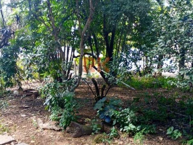 Terreno venda em Região Geográfica Imediata de Belo Horizonte, Região Metropolitana de Belo Horizonte