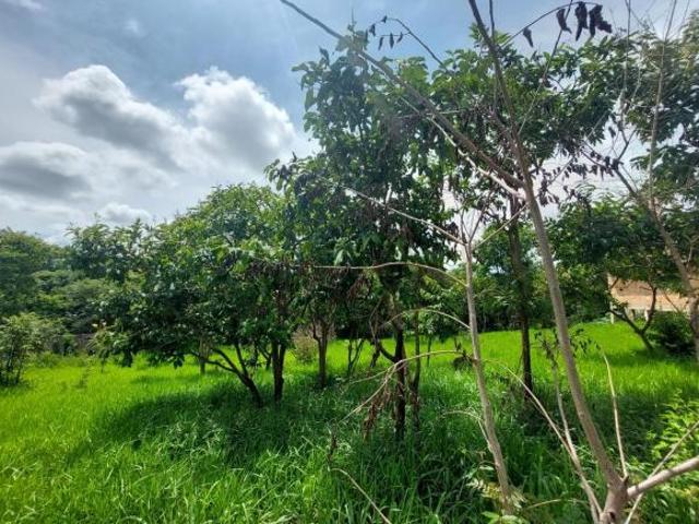Terreno venda em Região Geográfica Imediata de Sete Lagoas, Região Metropolitana de Belo Horizonte