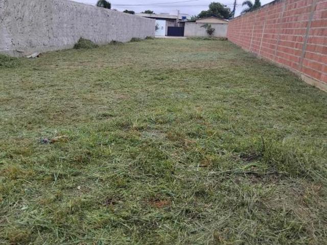 Terreno venda em Setor Habitacional Ponte de Terra, Gama