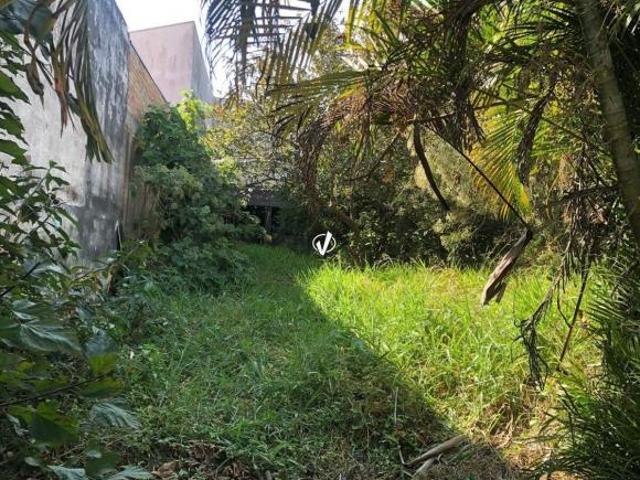 Terreno venda em Região Imediata de Taubaté-Pindamonhangaba, Região Metropolitana do Vale do Paraíba e Litoral Norte
