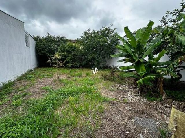 Terreno venda em Região Imediata de Taubaté-Pindamonhangaba, Região Metropolitana do Vale do Paraíba e Litoral Norte
