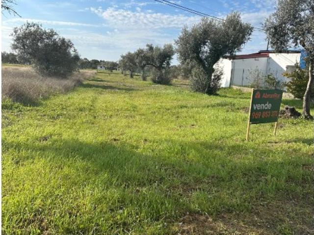 Terreno venda em Bairros, Abrantes