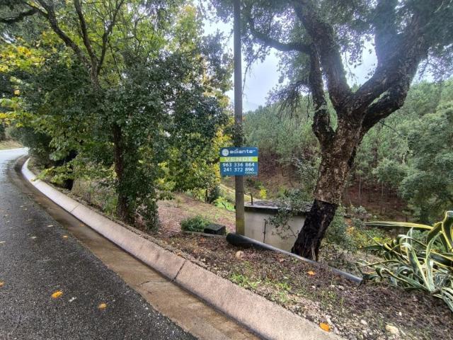 Terreno venda em Bairros, Abrantes