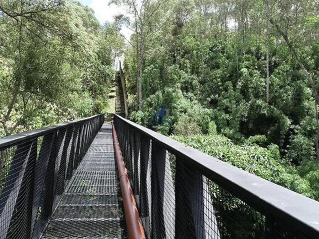 Terreno venda em Campo Novo, Campo Magro