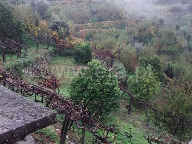 Terreno venda em Baião, Porto