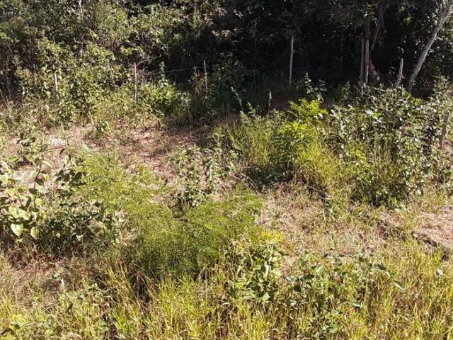 Terreno venda em Região Geográfica Imediata de Belo Horizonte, Região Metropolitana de Belo Horizonte