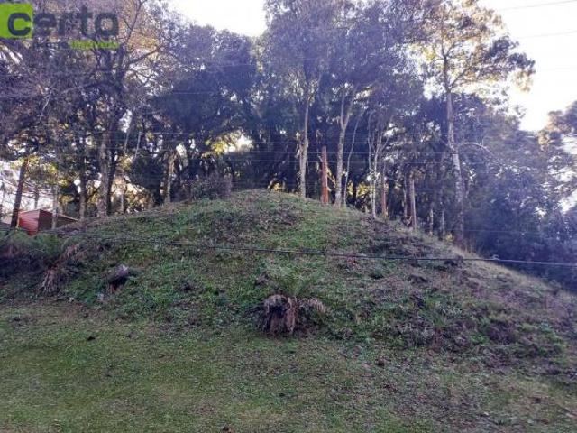 Terreno venda em Quinta da Serra, Canela