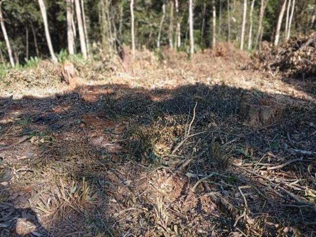 Terreno venda em Jardim Itacolomy, Ribeirão Pires