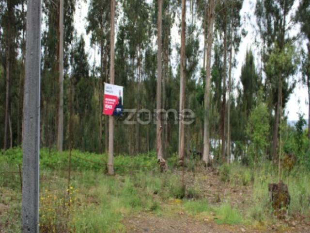 Terreno venda em Tondela, Viseu