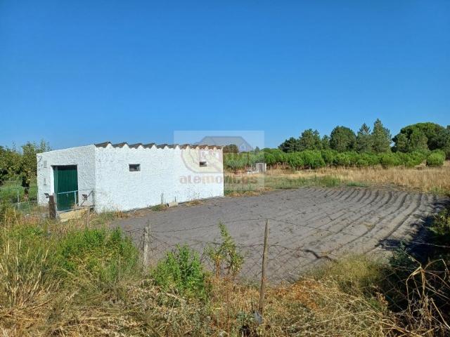 Armazém venda em Alcácer Do Sal, Setúbal