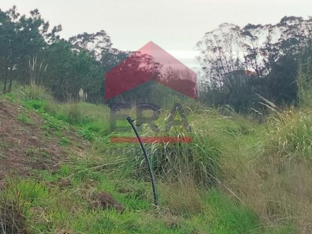 Terreno venda em Lourinhã, Lisboa