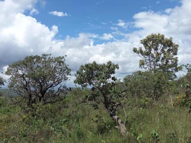 Terreno venda em Região Geográfica Imediata de Flores de Goiás, Alto Paraíso de Goiás
