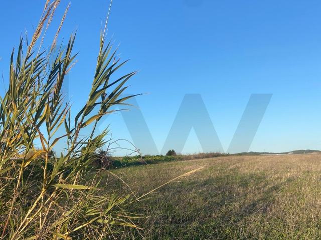 Terreno venda em Torres Vedras, Lisboa