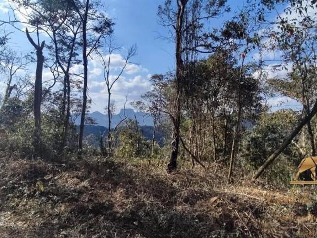 Terreno venda em Região Imediata de Taubaté-Pindamonhangaba, Região Metropolitana do Vale do Paraíba e Litoral Norte